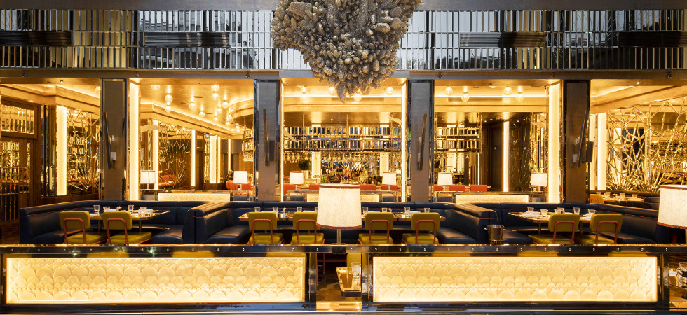 brasserie-of-light